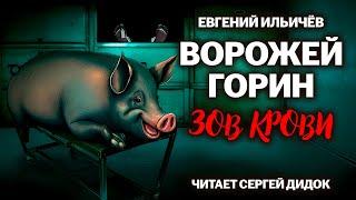 Евгений Ильичёв. ВОРОЖЕЙ ГОРИН - ЗОВ КРОВИ. Аудиокнига. Городское фэнтези.