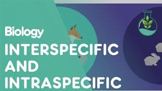 What Are Interspecific & Intraspecific Interactions | Ecology & Environment | Biology | FuseSchool