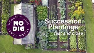 Increase harvests easily with intensive summer planting