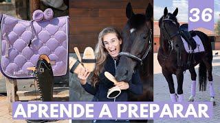 Aprende a preparar  -Get ready con Liberty: cepillar🪮, poner vendas, protectores, montura y brida 