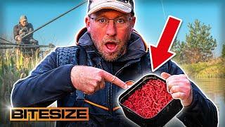 Andy Bennett's F1 Maggot Fishing Secrets! | Guru Bitesize #056