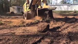 Stump Grinding Jacksonville Fl by Robert, the stump man