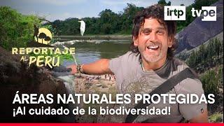 Reportaje al Perú: Áreas naturales protegidas (02/06/2024) | TVPerú