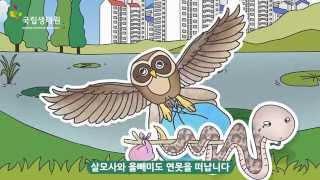 국립생태원 금개구리영상