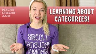 Learning About Categories by Peachie Speechie