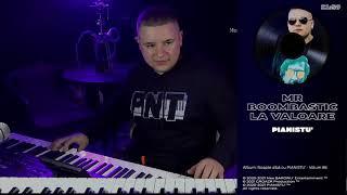 PIANISTU' - Mr. Boombastic la valoare  LIVE 