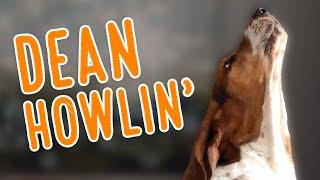 Dean HOWLIN'! 2020 Howling Compilation