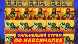 ЗАНОСИМ ПО КРУПНОМУ В BIG BASS! СТРИМ С МАКСВИНОМ №5