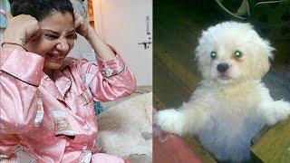 REACTING on my Dogs CHILDHOOD pictures | Ss Vlogs :-)