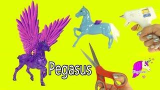 Pegasus Custom Do It Yourself