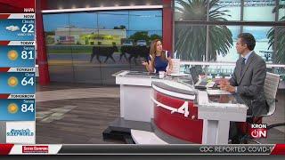 KRON4 Morning Buzz 6/23/21