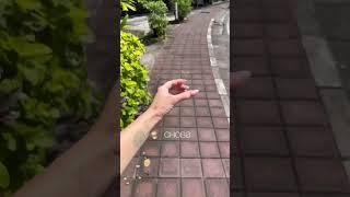 Радует, что я прилетела туда бесплатно! (Как - см прошлое видео) В этом году хочу повторить 