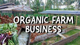 How To Earn In Organic Farming? Save Money By Knowing The 2 Major Focus In Organic Farming 