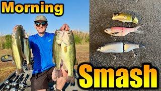 Morning of Swimbait Fishing (Kurouto Battlewing, KGB Chad Shad, DRT Klash 9)