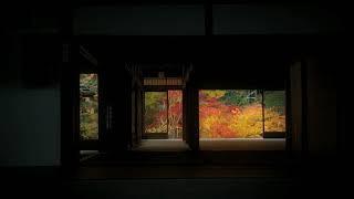 【TVCM】2013年 盛秋「南禅寺 天授庵」そうだ 京都、行こう。