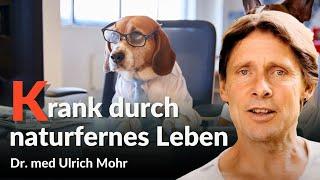 DESHALB zeigen kanke Tiere Krankheiten des Menschen an