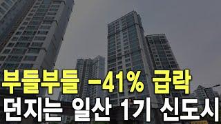 던지는 일산 1기 신도시 부들부들  41% 급락