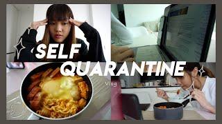  Quarantine vlog: online uni, cooking and cleaning my apartment!