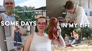 picknicken, uni, alles geht schief, neue Pflanze kaufen || some days in my life