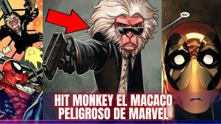 El  Mono de Marvel HIT MONKEY  ( Historia  , Poderes , Batallas ) Hit Monkey vs Deadpool