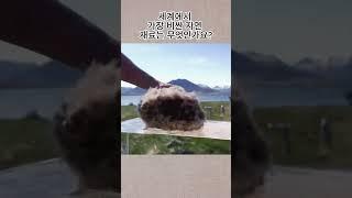세계에서 가장 비싼 자연 재료는 무엇인가요? |흥미로운 지식