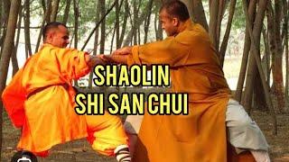 Shaolin Shi San Chui ( 13 Hammers)