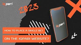 How to place a single bet on the IQPari website?