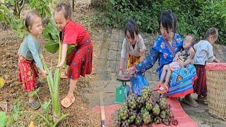 Facing the Challenge: The difficult days of a single mother with three young daughters - Sung Thi So