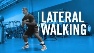 ACE Performance Series: Agility Workout