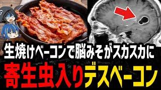 【ゆっくり解説】生焼けベーコンで死にかける…危険すぎるデス食品事件３選