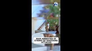 Man accused of punching magician at child's party in Pacific Palisades