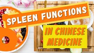 Spleen Functions in Chinese Medicine