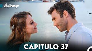 Luciérnaga Capitulo 37 (Doblado en Español) FULL HD