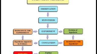 Biology 1010 Lecture 2 The Scientific Method