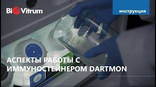 Аспекты работы с иммуностейнером DARTMON