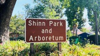 Shinn Park and Arboretum #butterflygarden #parkside #fremontca