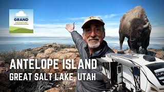 Ep. 301: Antelope Island | Great Salt Lake bison Utah state park hiking