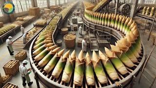 Chinese Farmers Harvest 1,000 kg Green Bamboo Shoots: Processing Factory | Farming Documentary