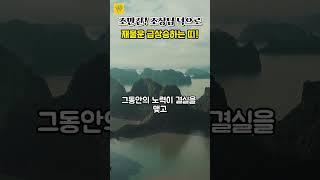 조만간! 조상님 덕으로 '재물운' 급상승하는 띠  #풍수 #운세 #사주풀이