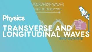 Transverse & Longitudinal Waves | Waves | Physics | FuseSchool