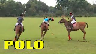 Serunya Berkuda dan Bermain POLO | TAU GAK SIH (07/10/20)