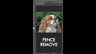 Remove Fence with unique techniques