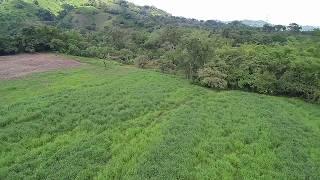 Vista aerea de Mestizo Blend de Semillas Papalotla en Xicotepec, Puebla. Mexico.