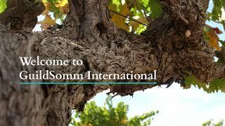 Welcome to GuildSomm International