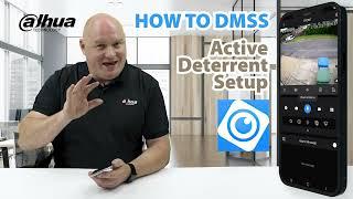 DMSS : Active Deterrant Setup