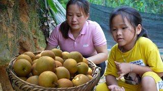 Rainstorm crisis, Harvesting vegetables & melons - Luu Linh Building New Life