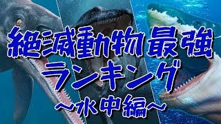 対決!!絶滅動物最強ランキング～水中編～