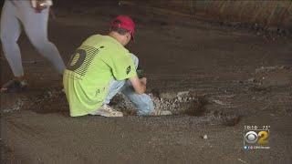 Drivers Furious As South Side Pothole Shreds Tires