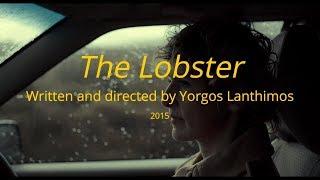 Video Essay: Camera Movement in The Lobster