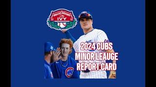 Cubs Minor League Report Card 2024: Offense, Pitching & Best Storylines | Bricks Behind the Ivy